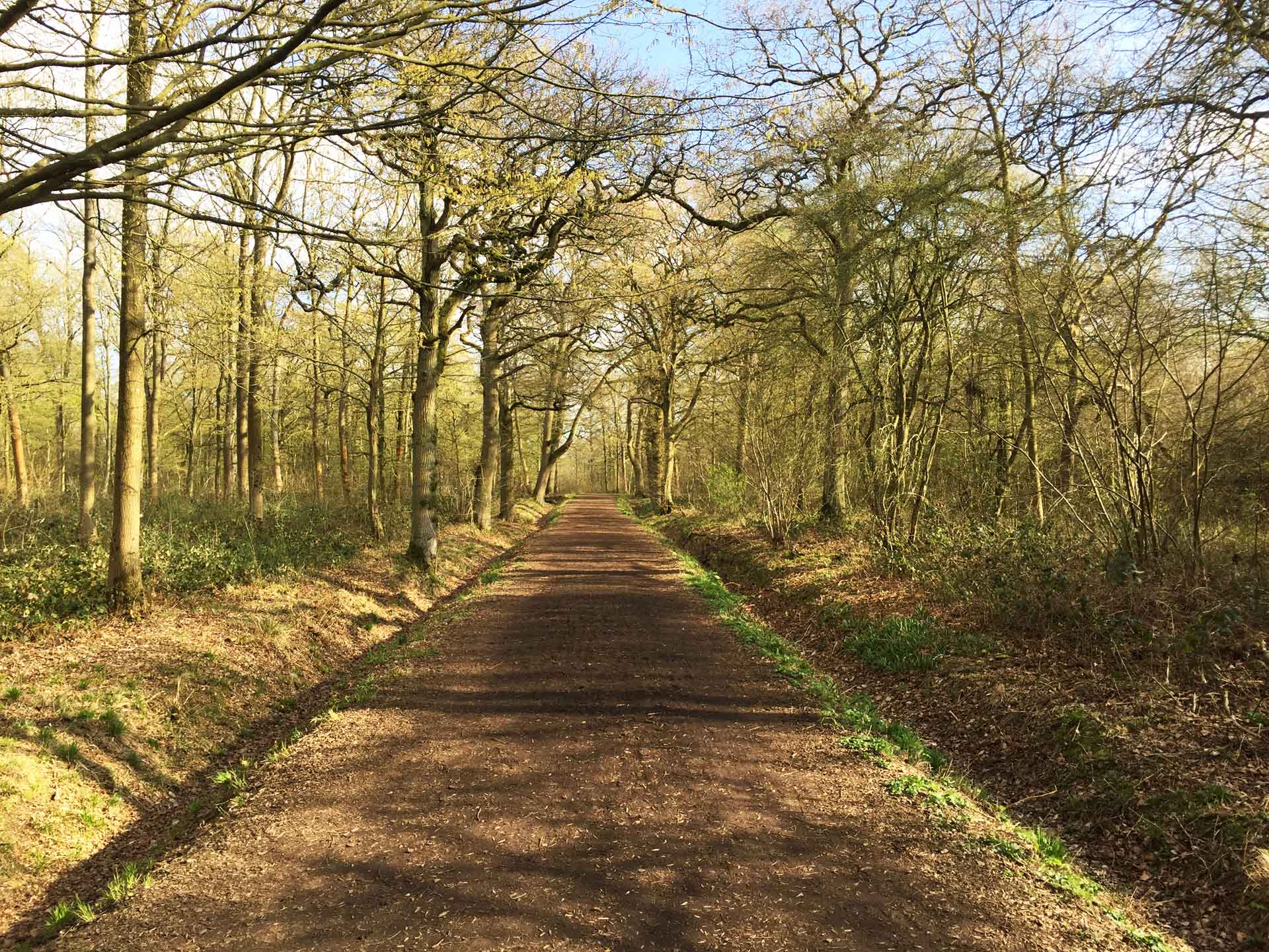 Find out about our latest Parish Council meetings!